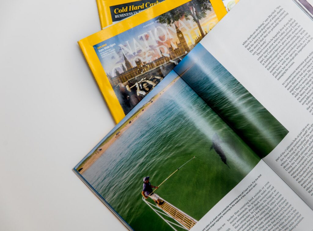 🧠 Why Digi Magazines Are More Than Just Trendy